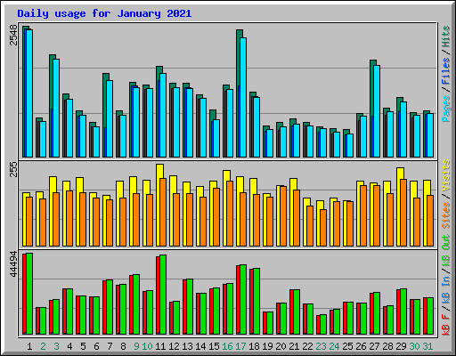 Daily usage for January 2021