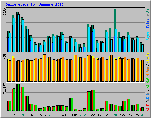 Daily usage for January 2026