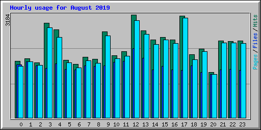 Hourly usage for August 2019