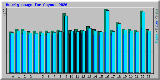 Hourly usage for August 2020