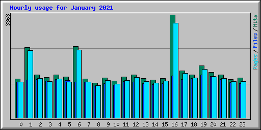 Hourly usage for January 2021