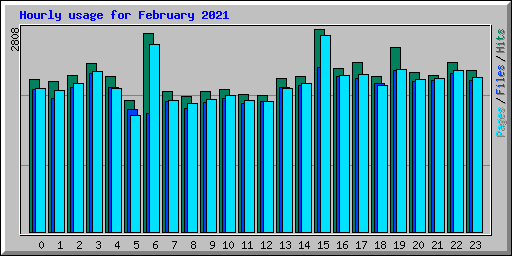 Hourly usage for February 2021