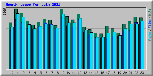 Hourly usage for July 2021