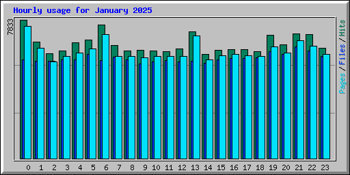 Hourly usage for January 2025