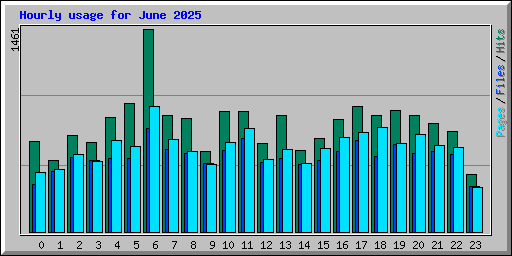 Hourly usage for June 2025