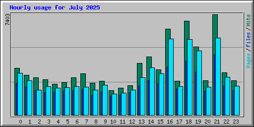 Hourly usage for July 2025