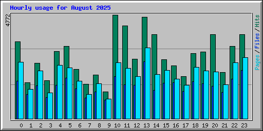Hourly usage for August 2025