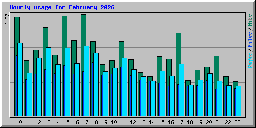 Hourly usage for February 2026