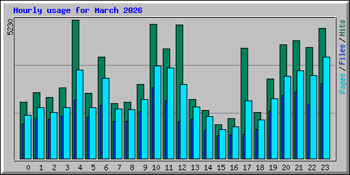 Hourly usage for March 2026