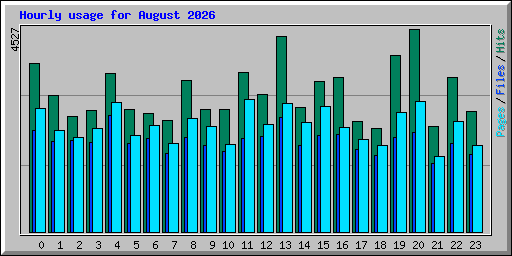 Hourly usage for August 2026